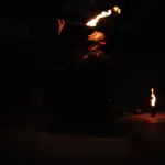 fireninja 3