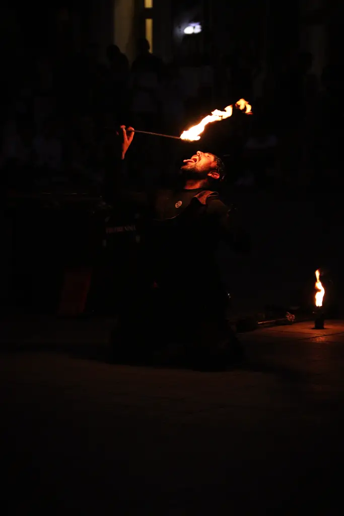 fireninja 3