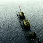 man on a dock