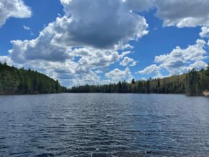 Algonquin