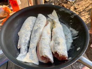 battered Brook Trout