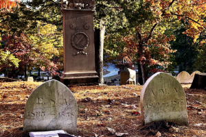 the miscellaneous collection